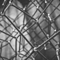 Clint Adair (via Unsplash)