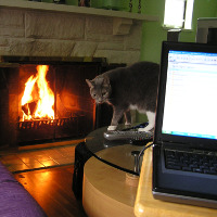 Day 2: Now THIS is what I call telecommuting, por Tina Lawson (vía Flickr)